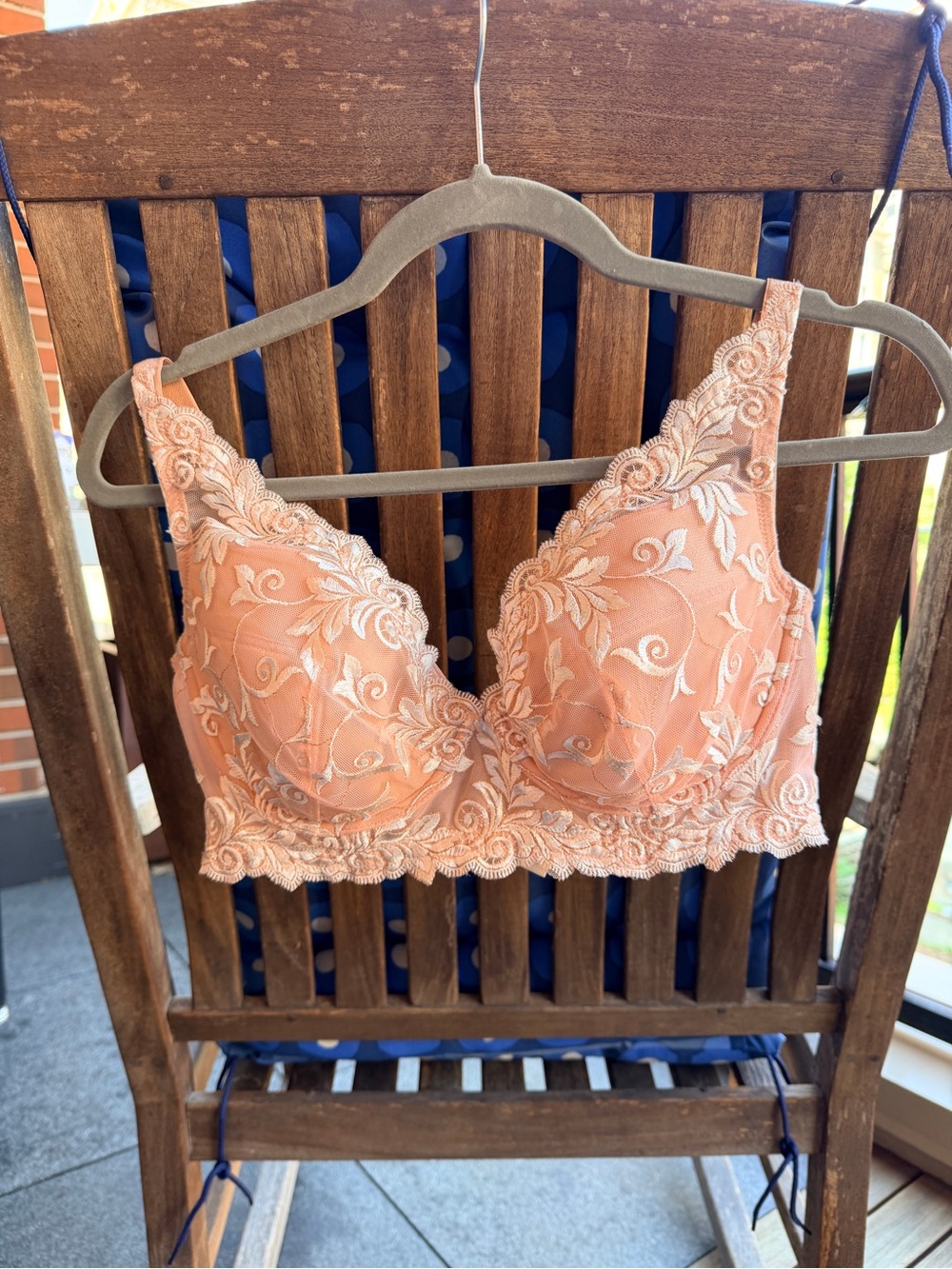 Sensuous Lace Longline Plunge Bra in Peach